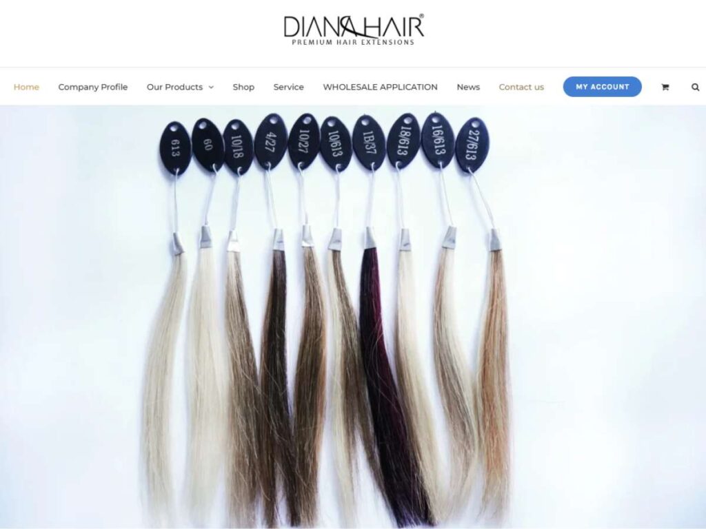 Top 6 Tape-In Hair Extensions Wholesale Manufacturers 5 Top 6 Tape-In Hair Extensions Wholesale Manufacturers 5